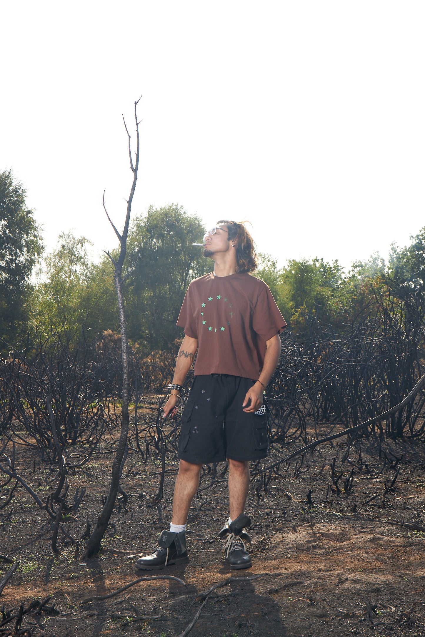 Insectisms brown europe tee