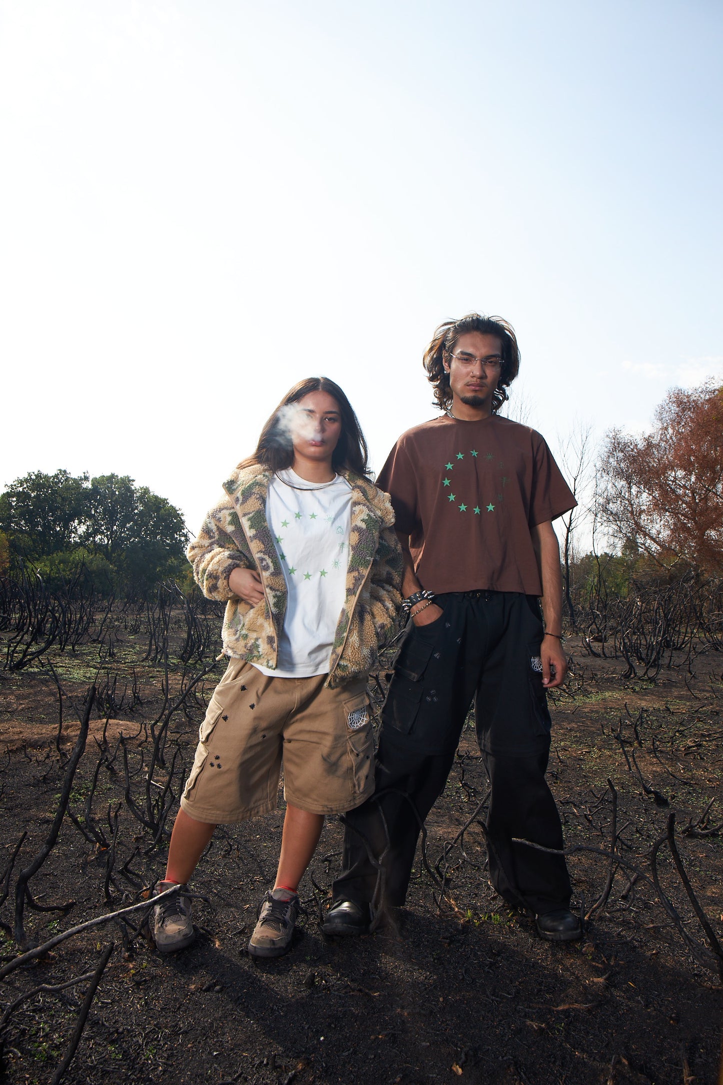 Insectisms woodlice destroy hybrid cargos