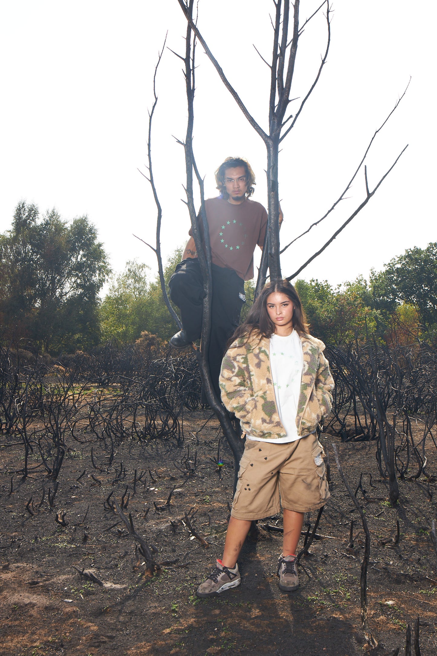 Insectisms woodlice destroy hybrid cargos