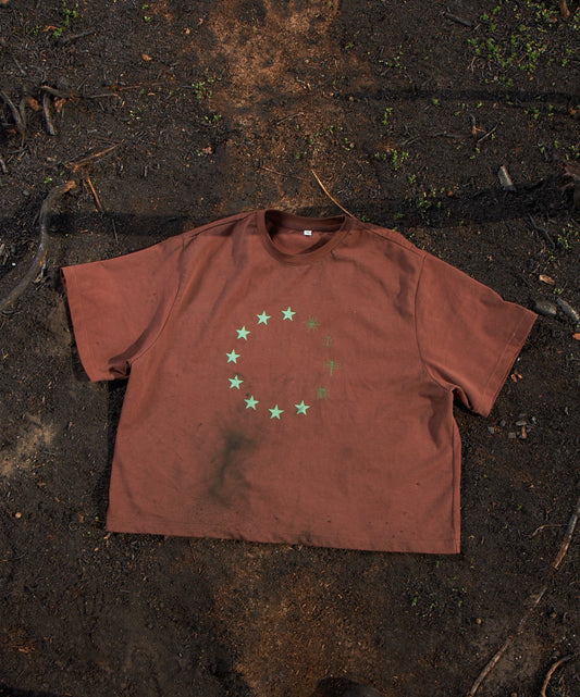 Insectisms brown europe tee