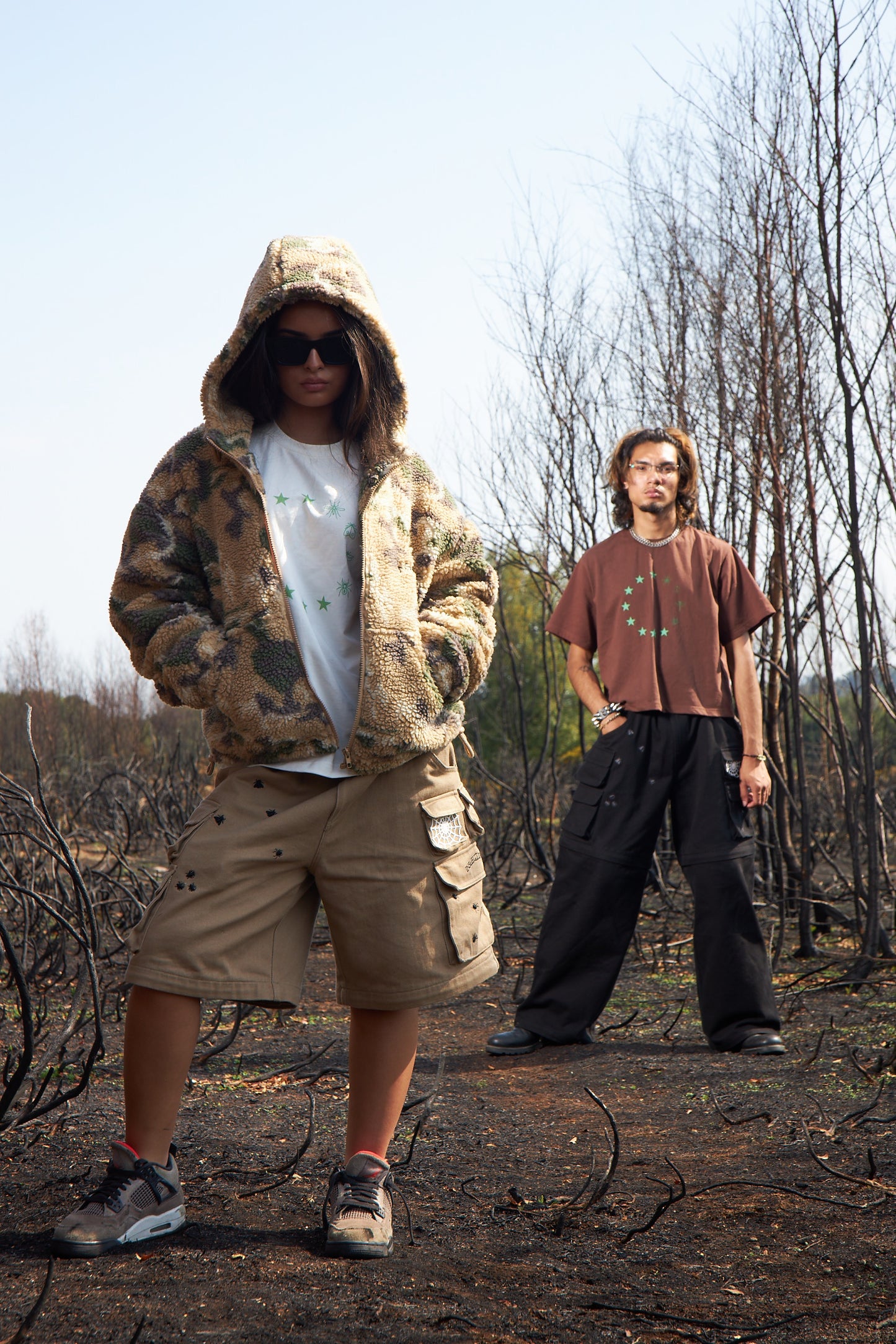 Insectisms woodlice destroy hybrid cargos