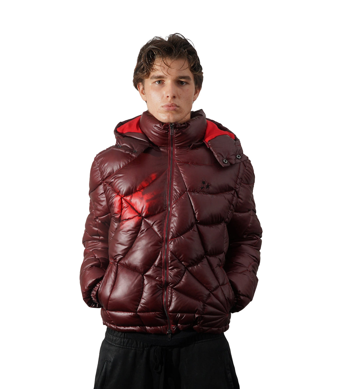 Metamorphosis crimson red spider puffer